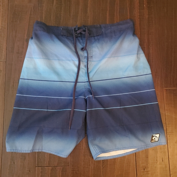 Laguna Swim Shorts sz Large - Picture 1 of 4